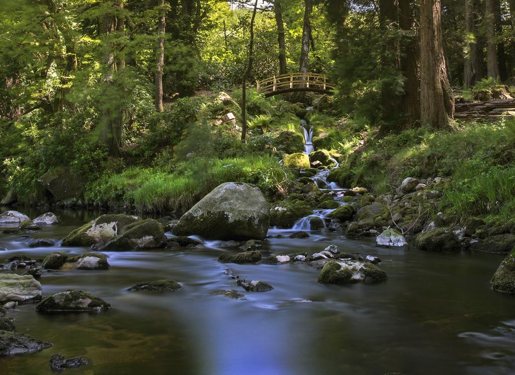 Ballyteige Lodge Ballyteige Bridge Екстер'єр фото