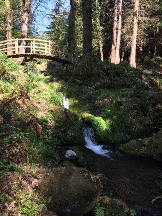 Ballyteige Lodge Ballyteige Bridge Екстер'єр фото